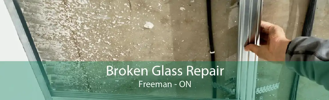 Broken Glass Repair Freeman - ON