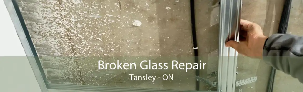 Broken Glass Repair Tansley - ON