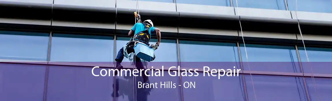 Commercial Glass Repair Brant Hills - ON