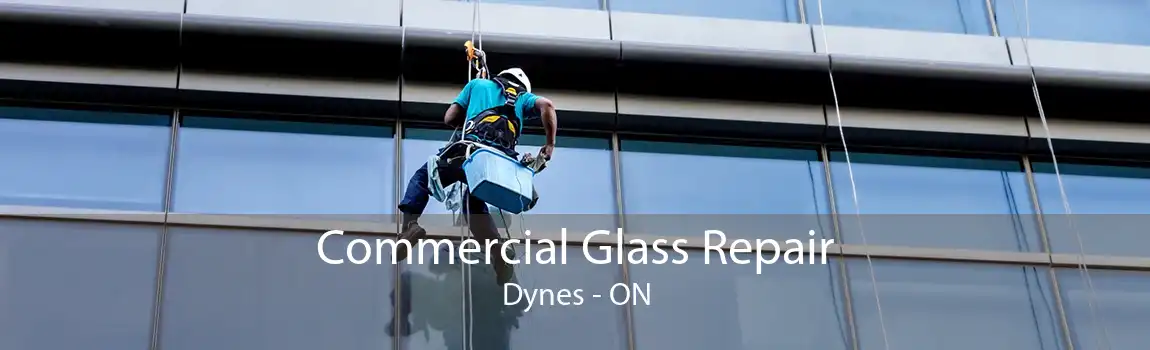 Commercial Glass Repair Dynes - ON