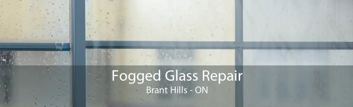 Fogged Glass Repair Brant Hills - ON