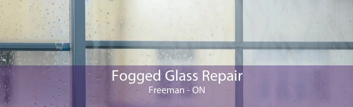 Fogged Glass Repair Freeman - ON