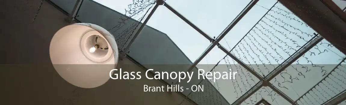 Glass Canopy Repair Brant Hills - ON
