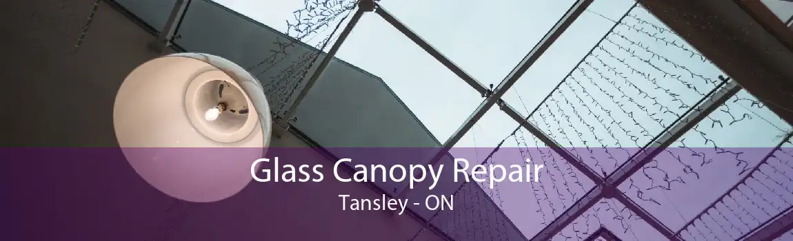 Glass Canopy Repair Tansley - ON