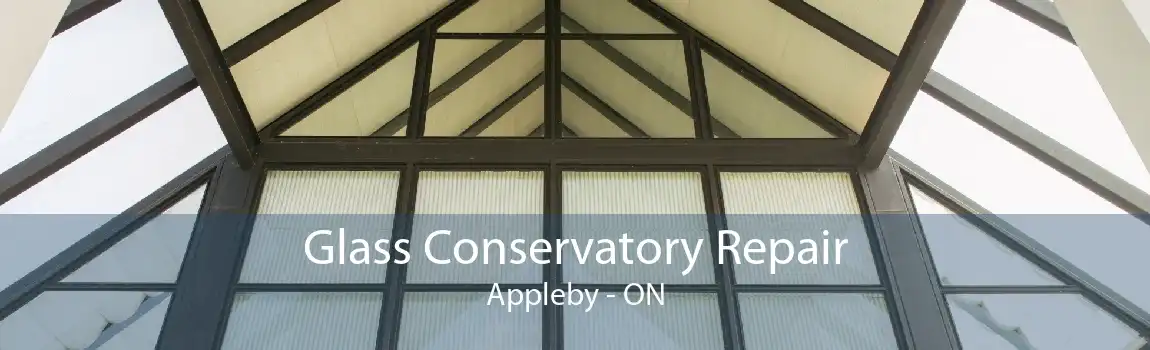 Glass Conservatory Repair Appleby - ON