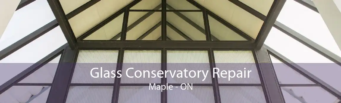 Glass Conservatory Repair Maple - ON