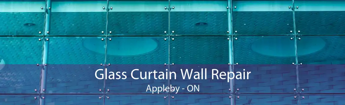 Glass Curtain Wall Repair Appleby - ON