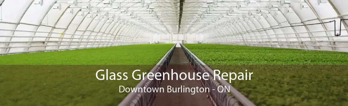 Glass Greenhouse Repair Downtown Burlington - ON