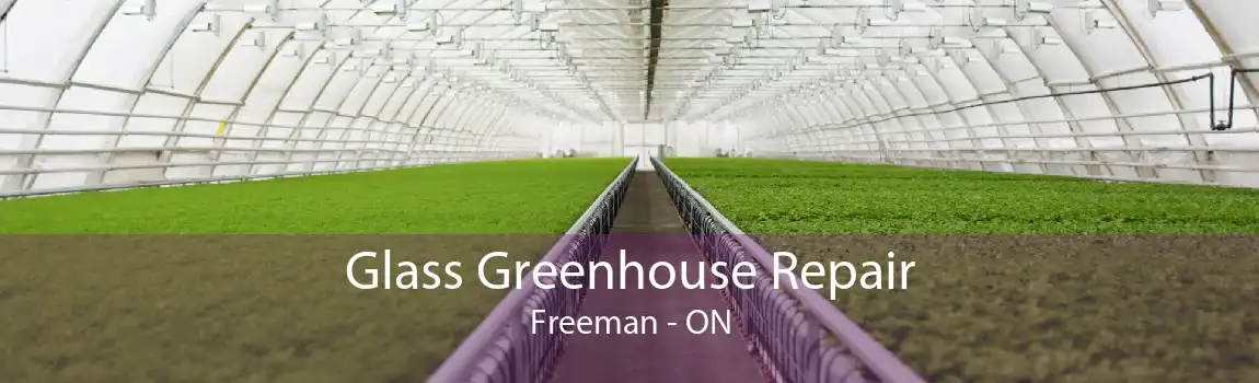 Glass Greenhouse Repair Freeman - ON