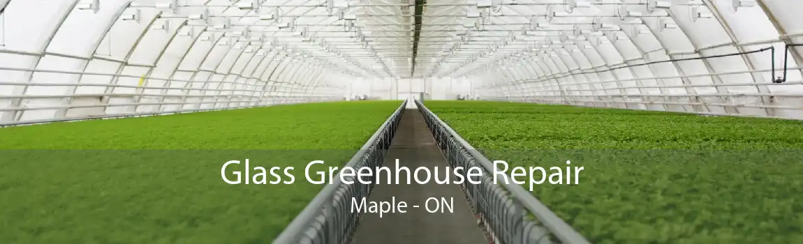 Glass Greenhouse Repair Maple - ON