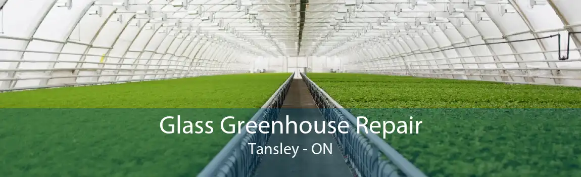 Glass Greenhouse Repair Tansley - ON