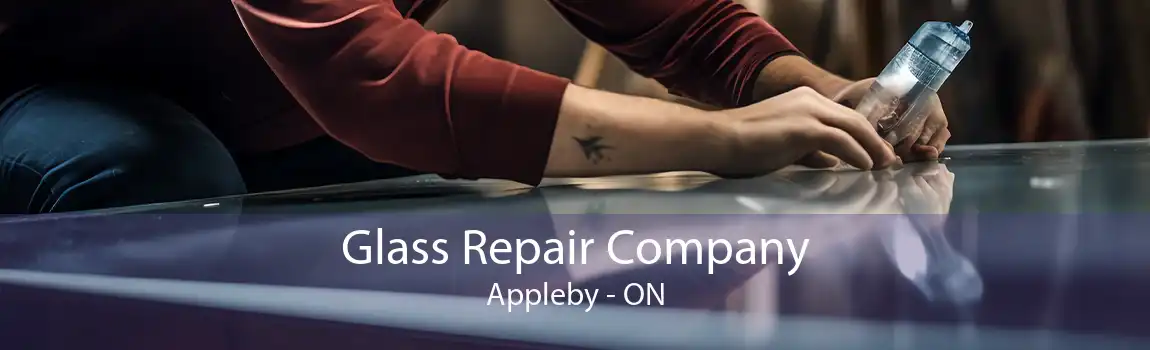 Glass Repair Company Appleby - ON