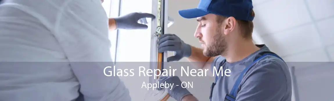 Glass Repair Near Me Appleby - ON