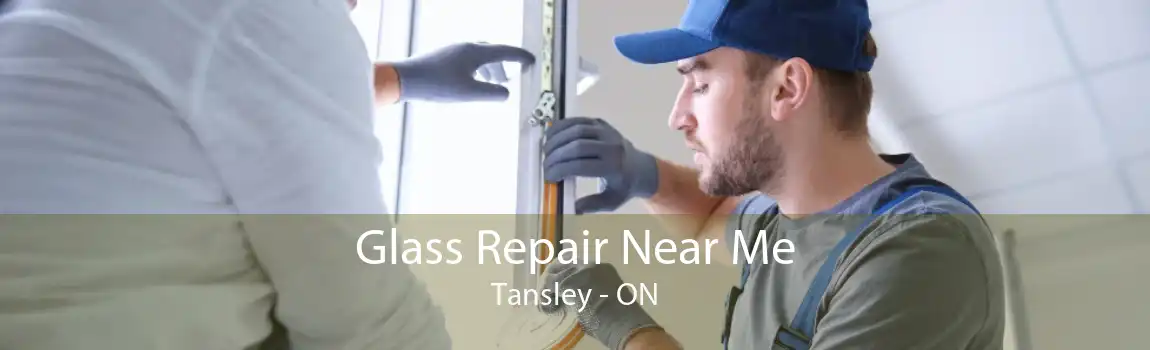 Glass Repair Near Me Tansley - ON