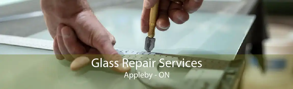 Glass Repair Services Appleby - ON