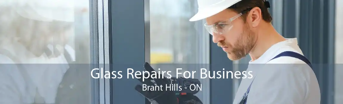Glass Repairs For Business Brant Hills - ON