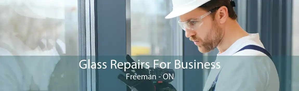 Glass Repairs For Business Freeman - ON