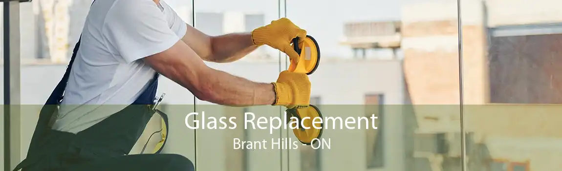 Glass Replacement Brant Hills - ON