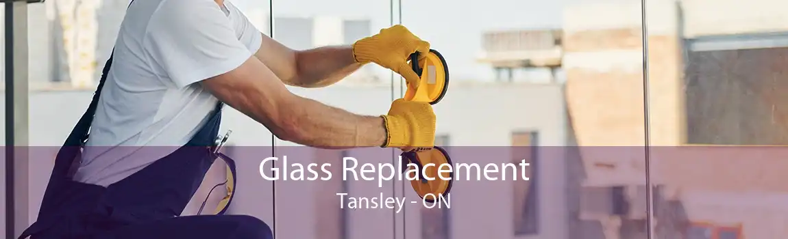 Glass Replacement Tansley - ON