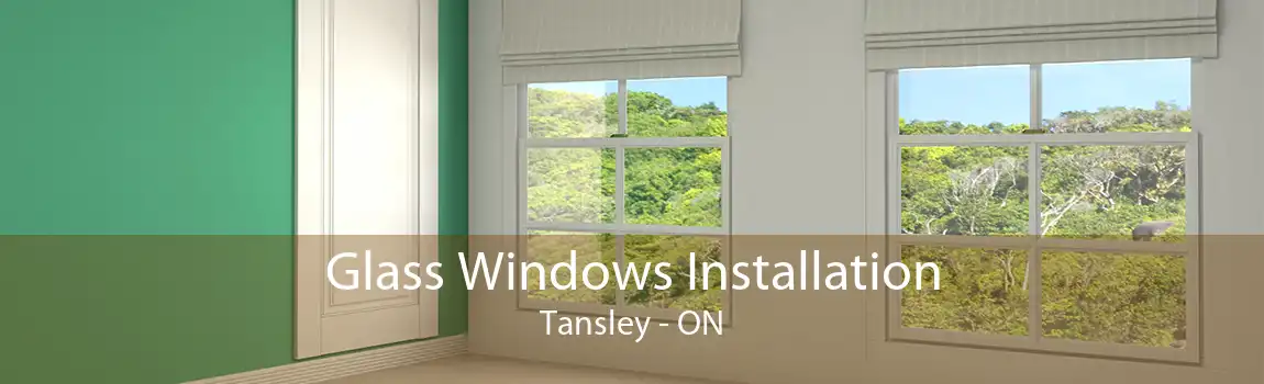 Glass Windows Installation Tansley - ON