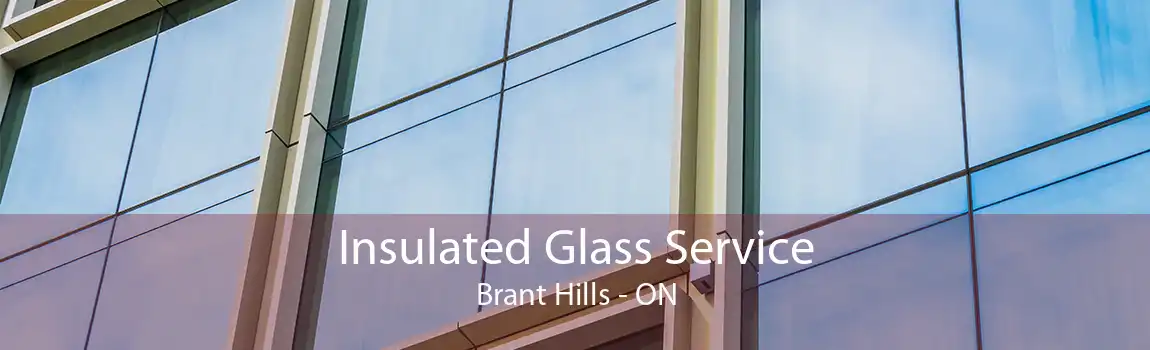 Insulated Glass Service Brant Hills - ON