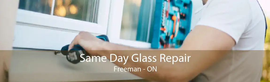 Same Day Glass Repair Freeman - ON