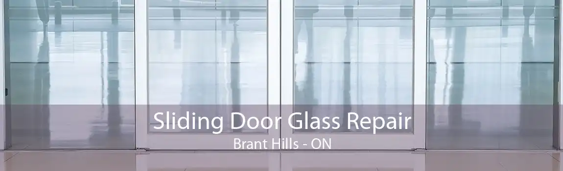 Sliding Door Glass Repair Brant Hills - ON