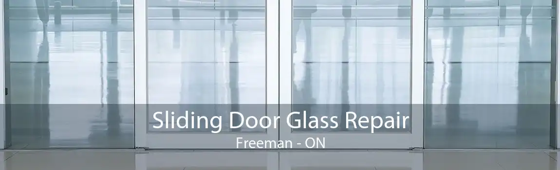 Sliding Door Glass Repair Freeman - ON