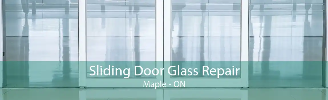 Sliding Door Glass Repair Maple - ON