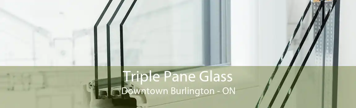 Triple Pane Glass Downtown Burlington - ON