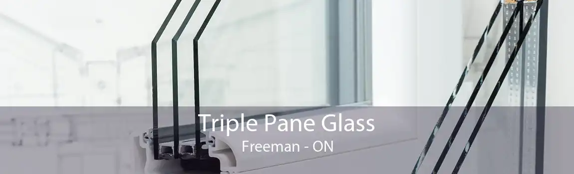 Triple Pane Glass Freeman - ON