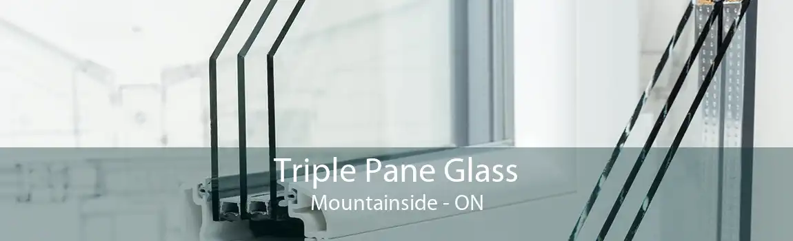 Triple Pane Glass Mountainside - ON