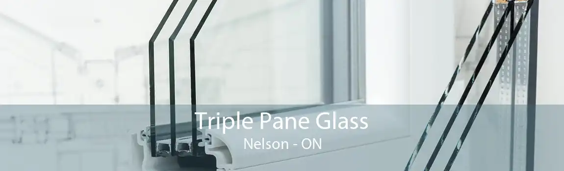 Triple Pane Glass Nelson - ON