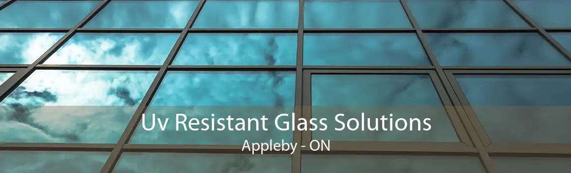 Uv Resistant Glass Solutions Appleby - ON