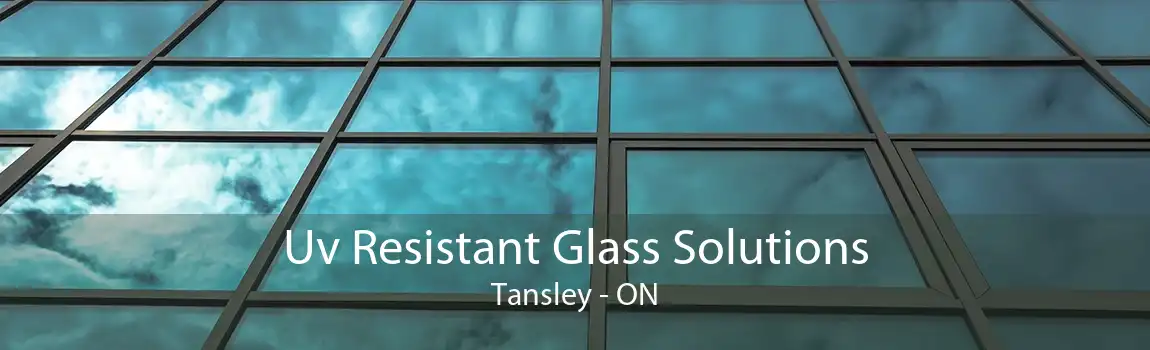 Uv Resistant Glass Solutions Tansley - ON