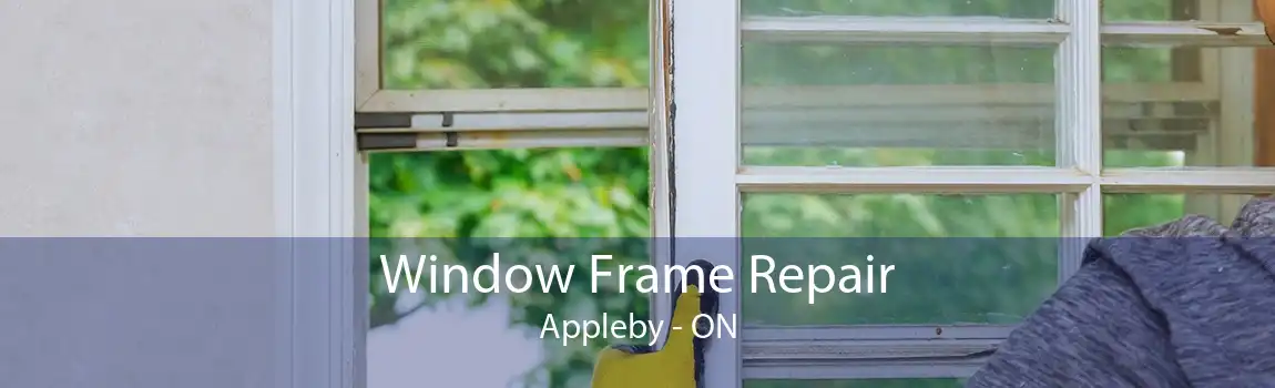 Window Frame Repair Appleby - ON