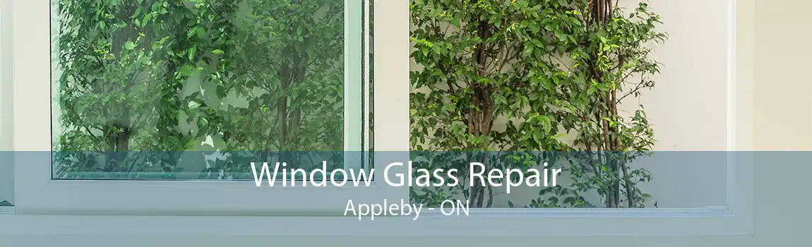 Window Glass Repair Appleby - ON