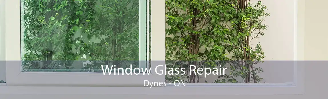 Window Glass Repair Dynes - ON