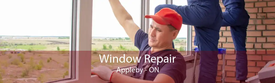 Window Repair Appleby - ON