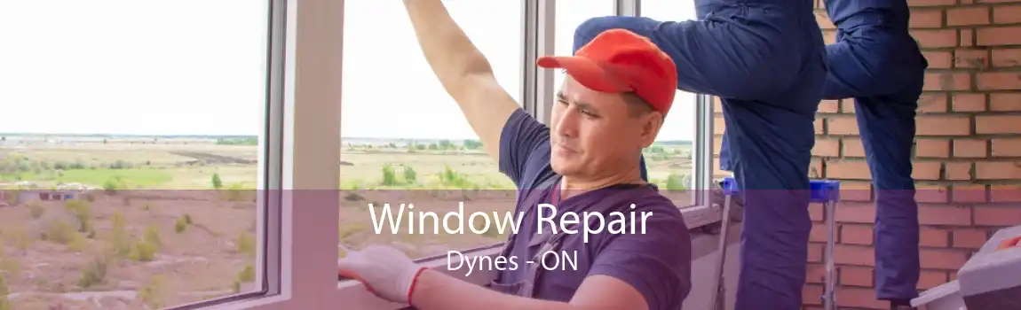 Window Repair Dynes - ON