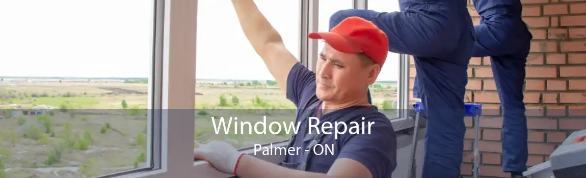 Window Repair Palmer - ON