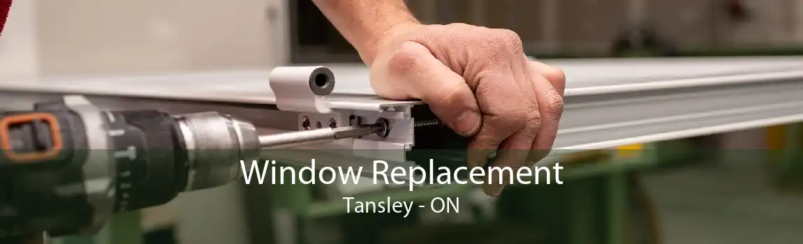 Window Replacement Tansley - ON
