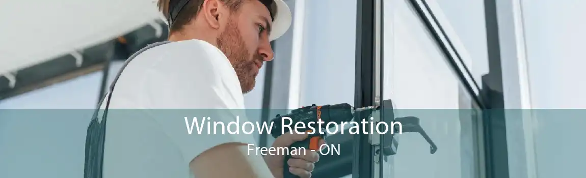 Window Restoration Freeman - ON