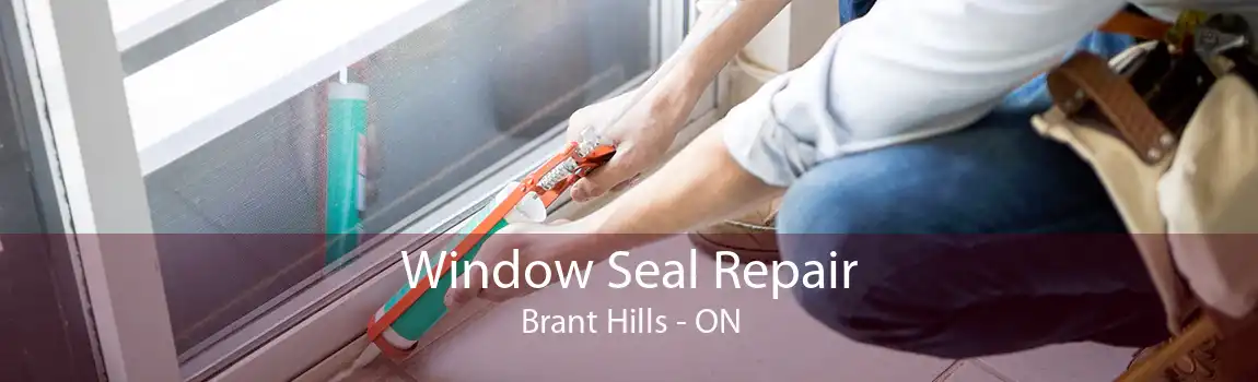 Window Seal Repair Brant Hills - ON