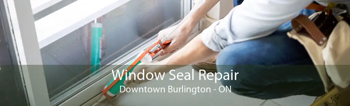 Window Seal Repair Downtown Burlington - ON