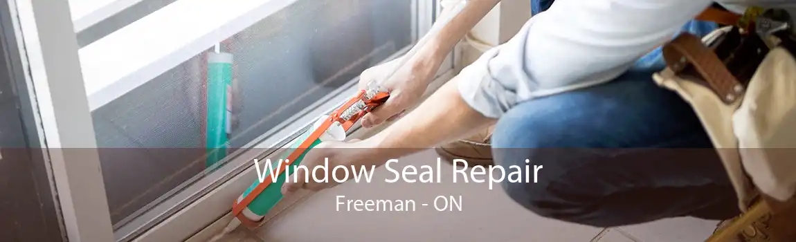 Window Seal Repair Freeman - ON