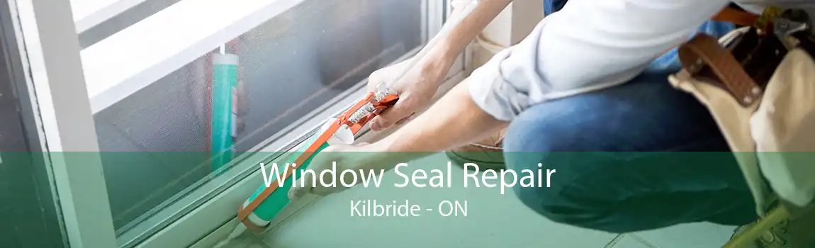 Window Seal Repair Kilbride - ON