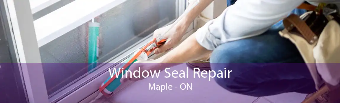 Window Seal Repair Maple - ON