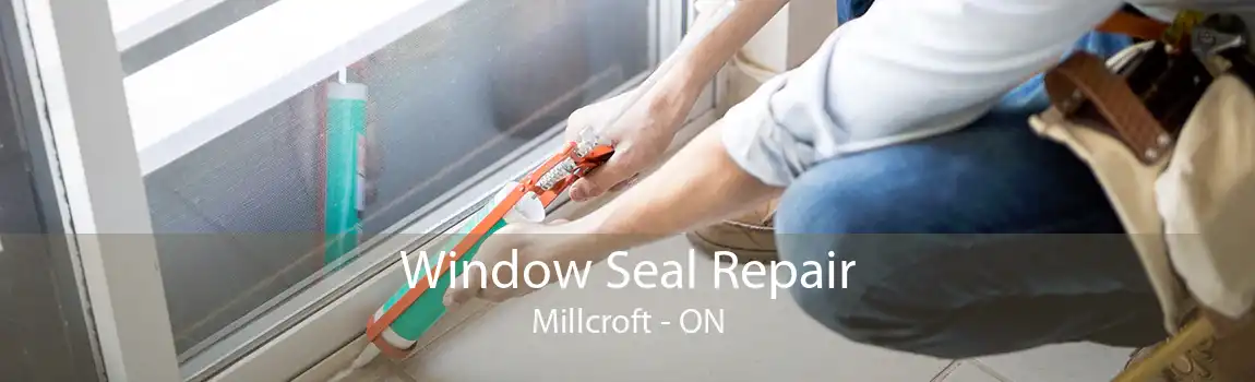 Window Seal Repair Millcroft - ON