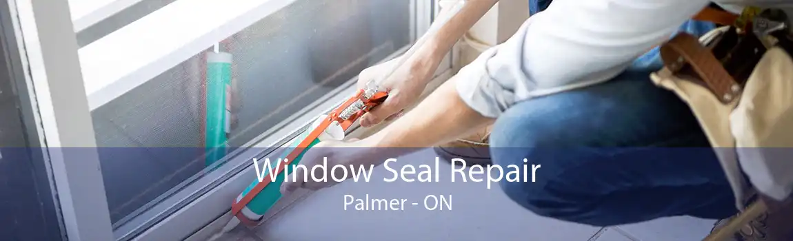 Window Seal Repair Palmer - ON